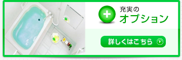 充実のオプション