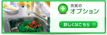 充実のオプション
